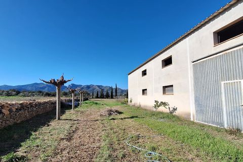 Finca i Ginestar, Tarragona, Ginestar - € 210.000 | Ref: CC837 - foto 13